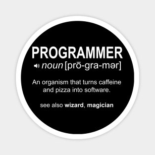 Programmer Definition Magnet